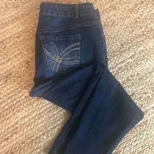 Lane Bryant Lightly Distressed Skinny Jean